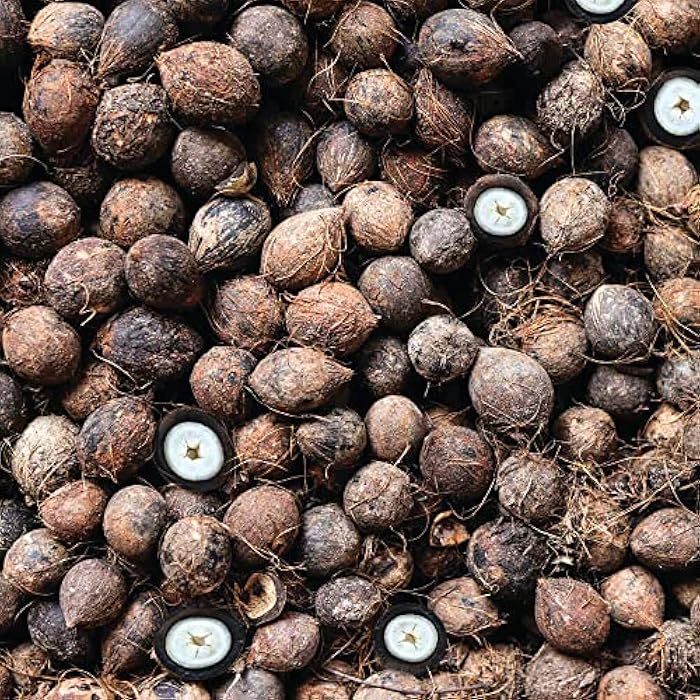 Milk Shake milk_shake Integrity Nourishing Shampoo, 10.1 Fl Oz - Image 3